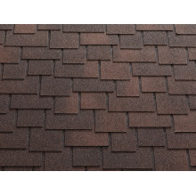 аравийское дерево