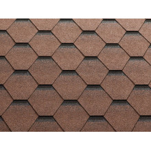 кора дерева